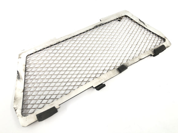 BMW R 1150 GS R21 [2002] - Ochranný panel mřížky chladiče vpředu