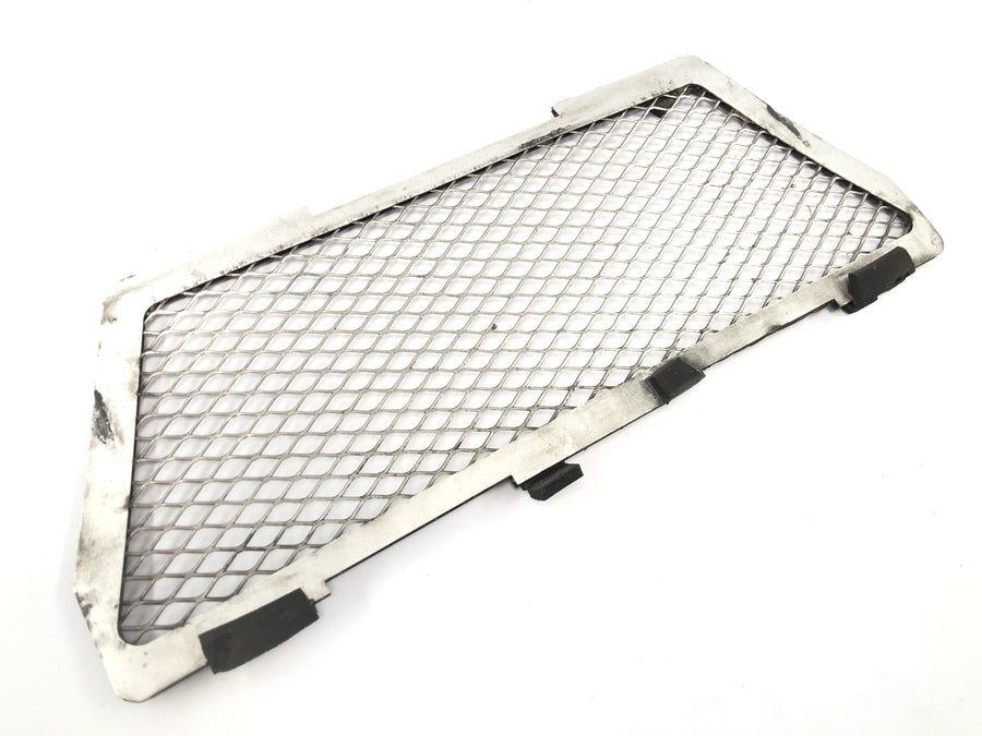 BMW R 1150 GS R21 [2002] - Radiatorrooster beschermroosterpaneel aan de voorzijde