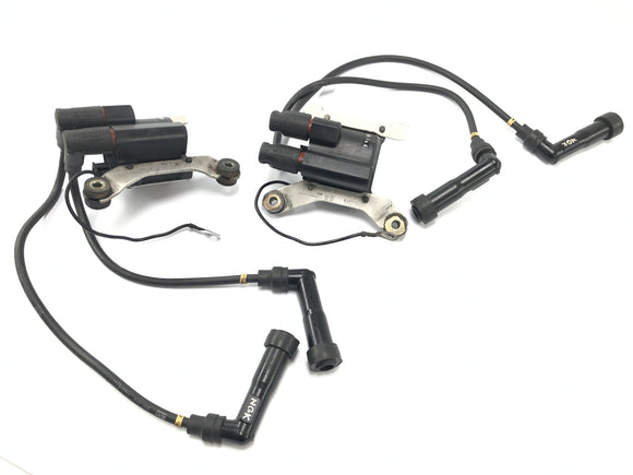 BMW K 1100 LT 100 [1994] - Пара модулей зажигания зажигания модулей зажигания