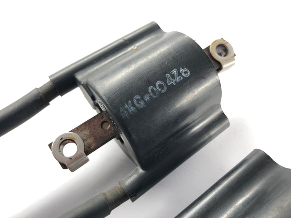 Yamaha XJR 1200 4PU [1995] - Bobina de encendido con bujía