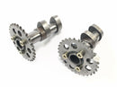 Aprilia RST 1000 Futura [2002] - CAMSHAFTS Set inlaatnokkenas en uitlaatcams-4