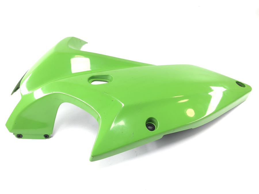 Kawasaki Zrx 1200 S ZRT20A [2002] - Clearing Side Opladding vlevo