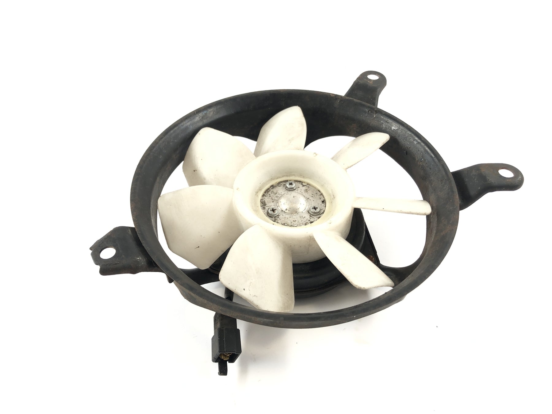 Triumph Speed ​​Triple 955i [1999] - Cooler Fan - 0