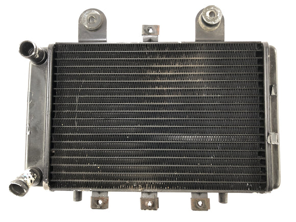 Triumph Thunderbird 900 T309RT [1996] - Кулер для воды