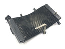 Honda CBR 900 RR Fireblade SC33 [2000] - Radiator water cooler cooling radiator-3