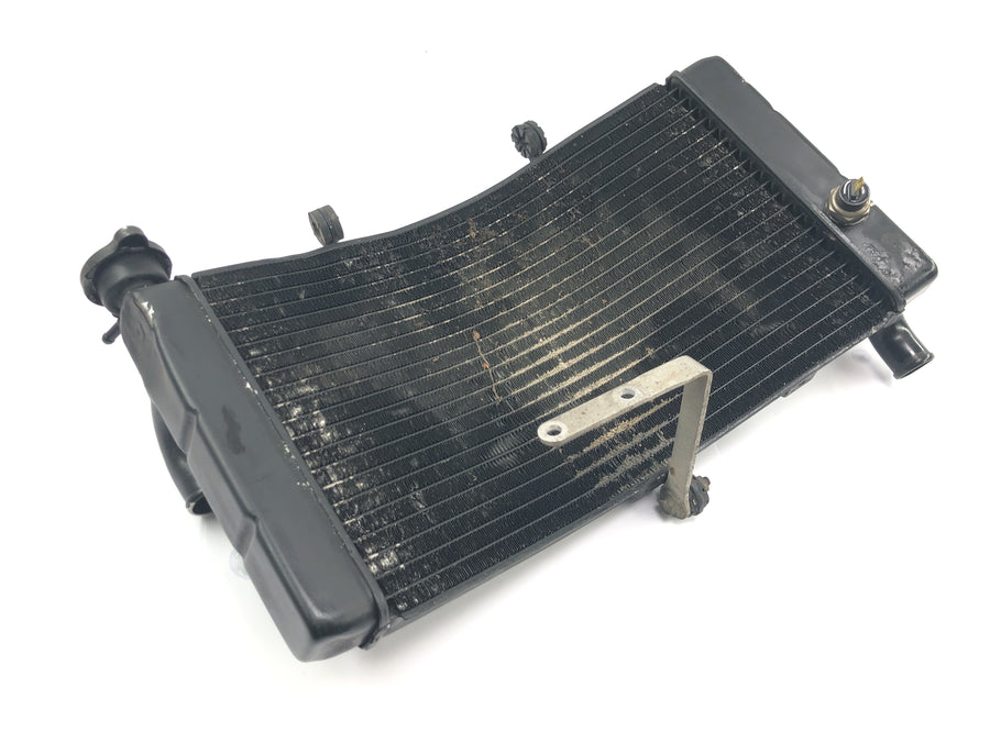 Honda CBR 900 RR Fireblade SC33 [2000] - Radiator water cooler cooling radiator