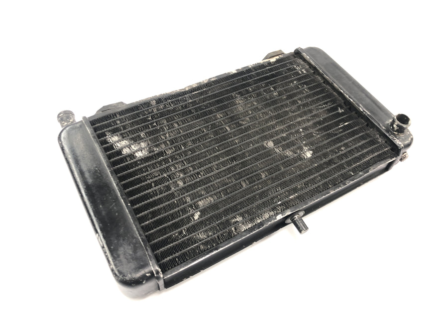 Aprilia RS 125 Extrema [1994] - Kühler Wasserkühler Radiator Kühlsystem