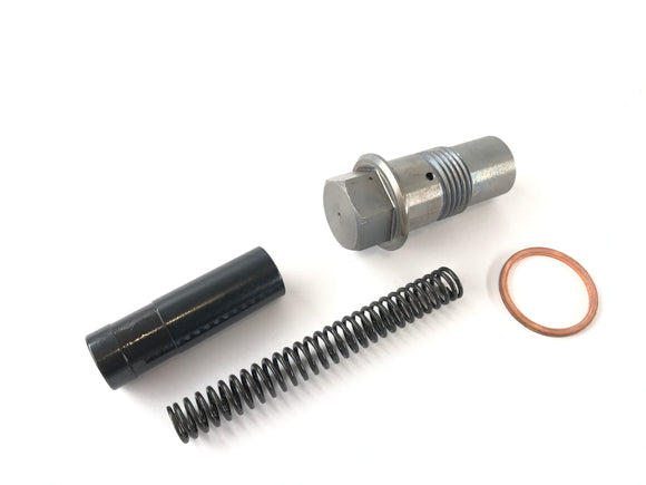 BMW R 1100 GS [1990] - tendeur de chaîne de distribution