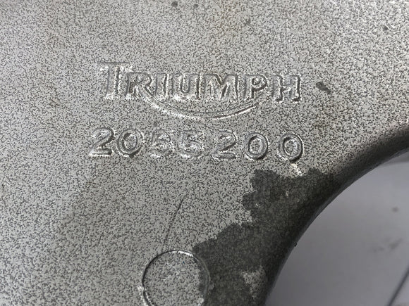 Triumph Speed Triple T509 [1998] - Schwinge Hinterradschwinge