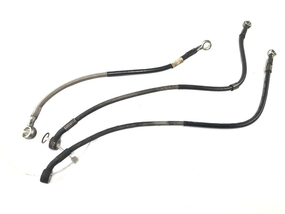 トライアンフ デイトナ 900 T300 [1996] - ブレーキライン フロント ブレーキライン ホース