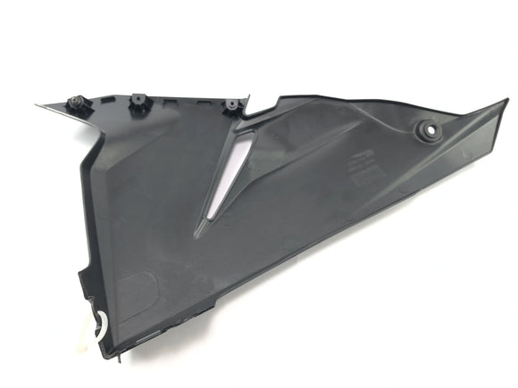 川崎忍者125 BX125B [2024]  - クリアページクラッディングバグクラッド右