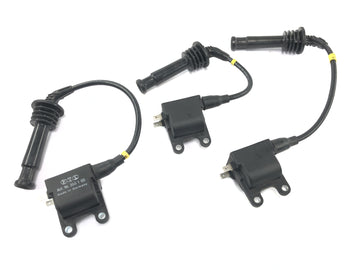 Triumph Adventurer 900 T309RT [1998] - Zündspule Zündeinheit Zündspulenkit Zündmodul