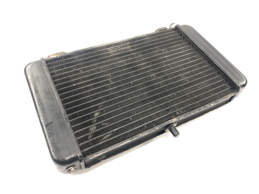 Aprilia RS 125 Extrema [1994] - Kühler Wasserkühler Radiator Kühlsystem