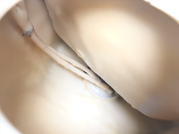 Triumph Sprint St 1050 [2005]  - タンクガソリンタンク燃料タンク