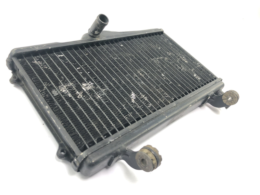 Honda NSR 125 JC20 [1991] - Kühler Wasserkühler Kühlernetz Kühlradiator