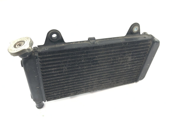 Yamaha MT 03 RM02 [2007] - Kühler Wasserkühler Motorkühler Kühlsystem Radiator