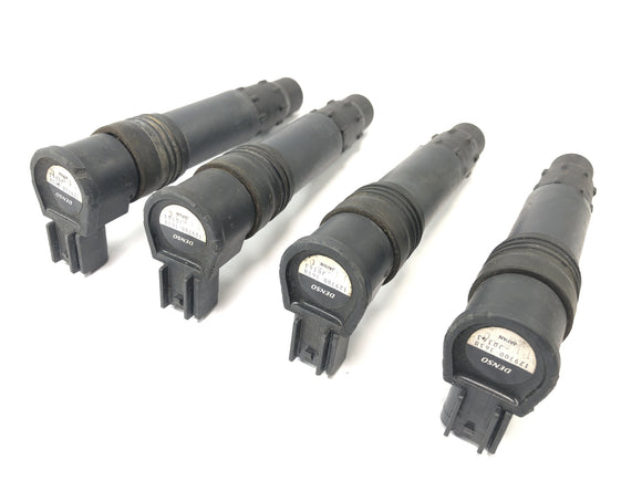 Kawasaki ZX 12 R ZXT20A [2001] - Tændspolesæt