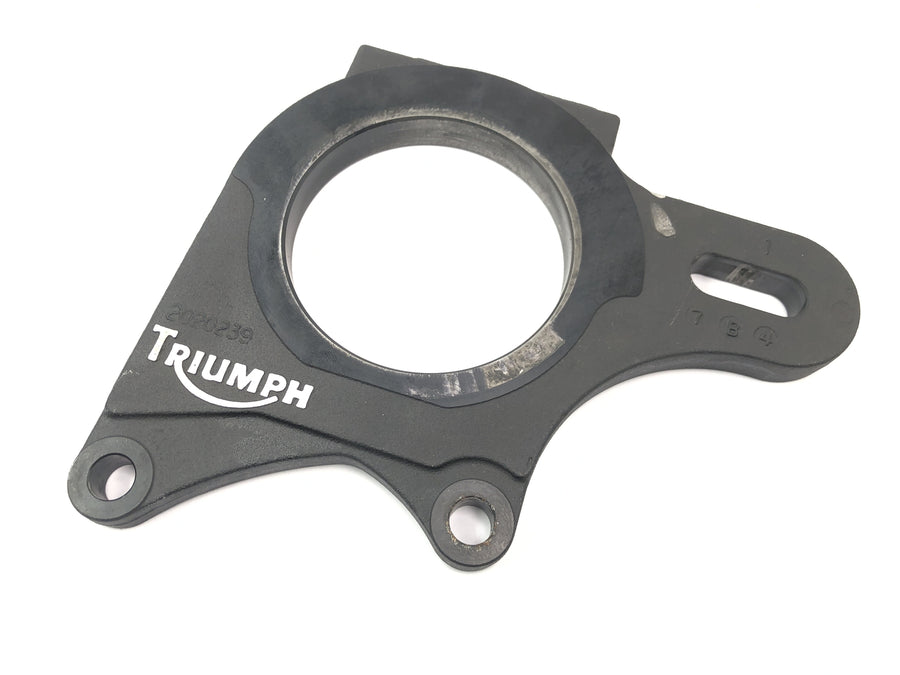 Triumph Speed Triple T509 [1998] - Ankerplatte Bremssattelhalterung