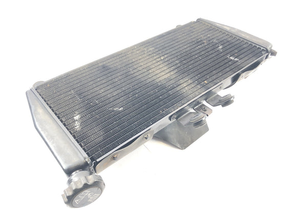 Triumph Daytona 955i T595N [2003] - Kühler Wasserkühler Radiator vorne