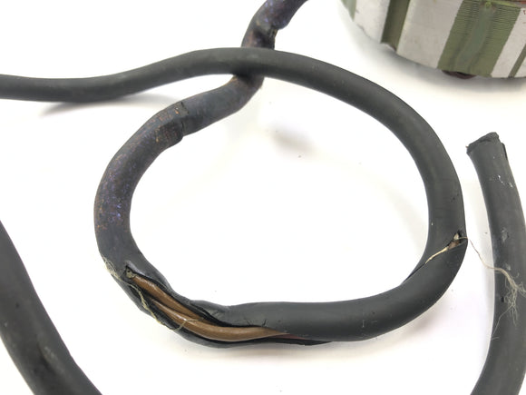 Cagiva Elefant 650 [1984] - Lichtmaschine