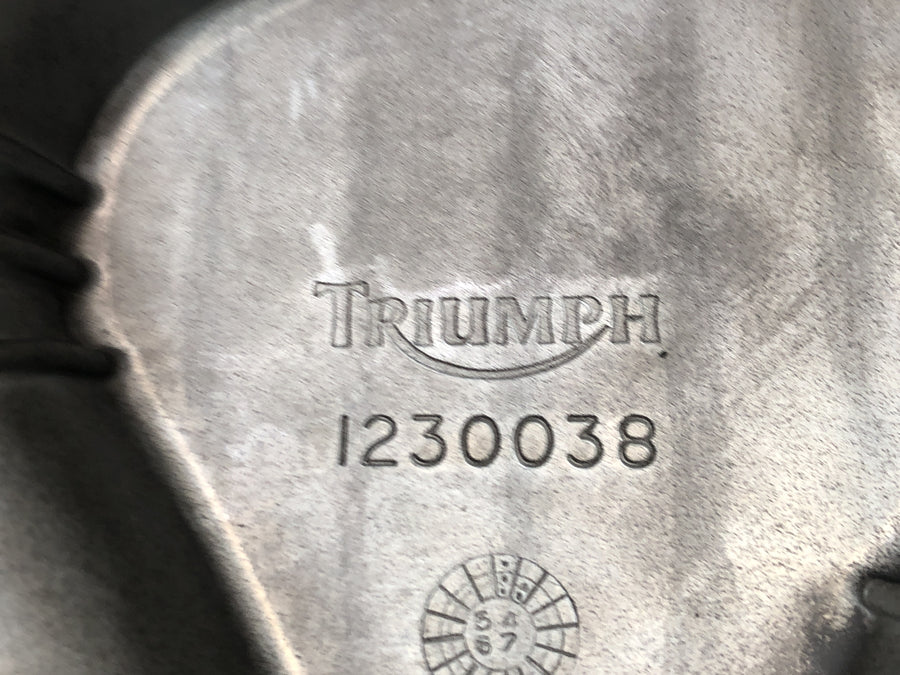 Triumph Daytona 900 T300 [1996] - Ölwanne Motordeckel