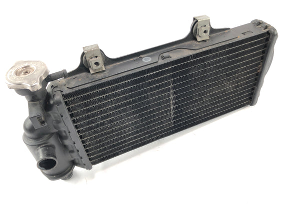 BMW F 650 GS R13 [2002] - chłodna chłodnica chłodnicy wody z przodu