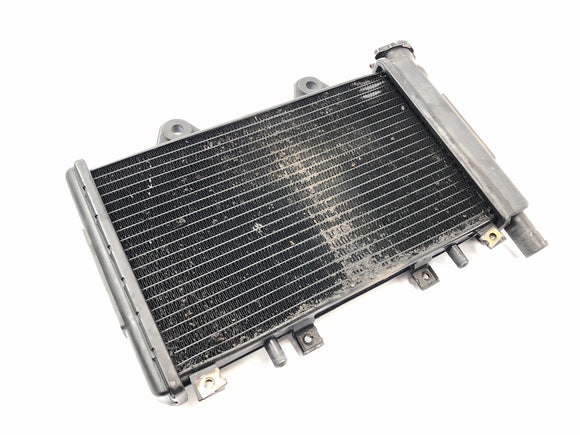 Triumph Daytona 900 T300 [1996] - Kühler Wasserkühler