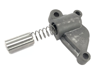 BMW R 1150 R R21 [2003]  - タックスチェーンテンショナー