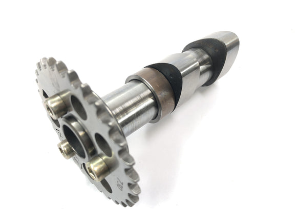 Aprilia Rst 1000 Futura [2002] - CAMSHAFTS ingesteld aan de achterkant van de ingang nokkenas en een rand golfgolf