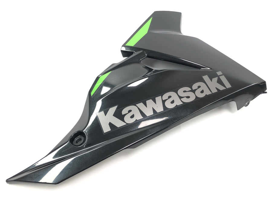 Kawasaki Ninja 125 BX125B [2024] - Clearing Page Cladding Bug Cladding Right