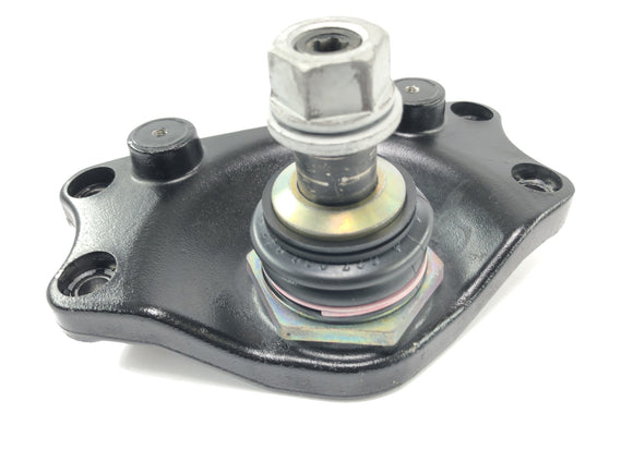 BMW R 1150 R R21 [2003] - fork bridge below Telelever