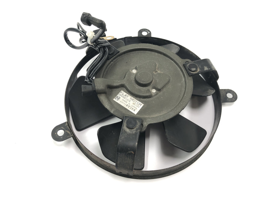 本田 CBR 900 RR Fireblade SC33 [2000] - 散热器风扇轮电风扇