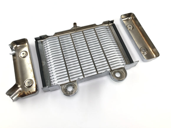 Triumph Thunderbird 900 T309RT [1995] - Kühlerabdeckung Kühlerblenden Set