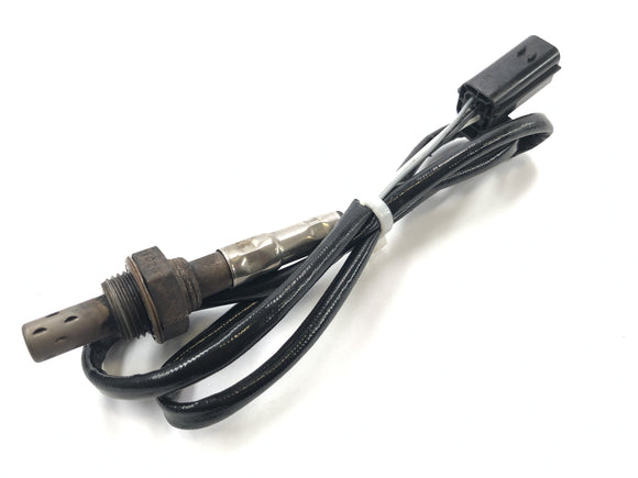 Triumph Daytona 955i T595N [2003] - Lambdasonde