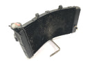 Honda CBR 900 RR Fireblade SC33 [2000] - Radiator water cooler cooling radiator-1