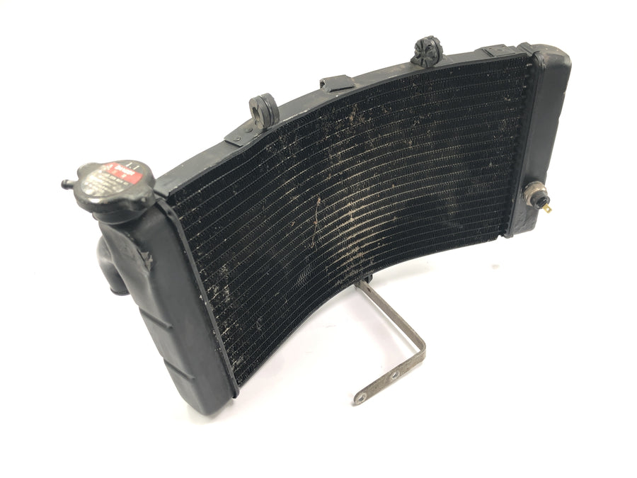 Honda CBR 900 RR Fireblade SC33 [2000] - Radiator water cooler cooling radiator