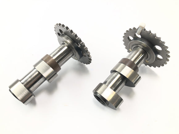 Aprilia RST 1000 Futura [2002] - CAMSHAFTS Set inlaatnokkenas en uitlaatcams