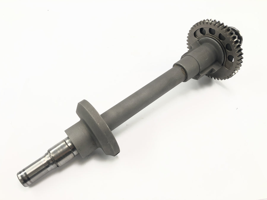 Triumph Daytona 955i T595N [2003] - Kompensationsaxel Styraxel Motorsaxel