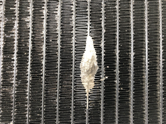 Honda NSR 125 JC22 [1998] - Kühler Wasserkühler Radiator