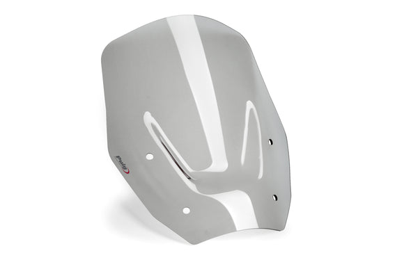 BMW R 1300 GS TROPHY [2025] — Стандартный экран — Тонировка