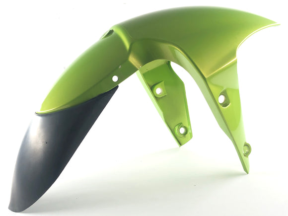 Triumph Street Triple R 675 D67ld [2008] - Fender Front Fenders framtill