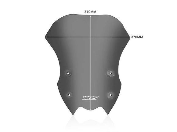 Kawasaki Z 900 [WRS] - frontrute