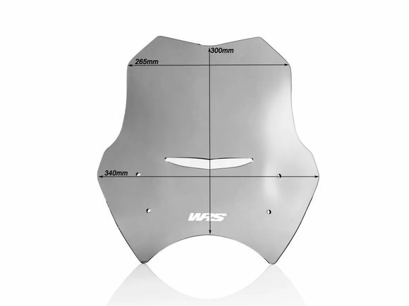 BMW R 1150 R [WRS] - windshield