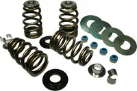 Buell S 3 Thunderbolt [1996] - Kit molle valvole Econo Beehive® - immagine 5