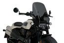 HARLEY DAVIDSON SPORTSTER S RH 1250 S [2024] – New Generation Touring-7