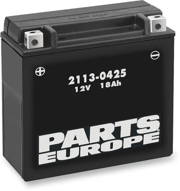 California 1000 [PARTS EUROPE] – Wartungsfreie AGM-Hochleistungsbatterie