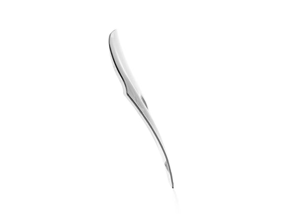 Ducati Diavel V4 [WRS] - voorruit