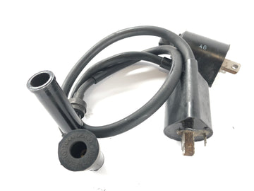 Yamaha XV 750 Virago [1991] - Bobina de encendido con juego de enchufes - 0