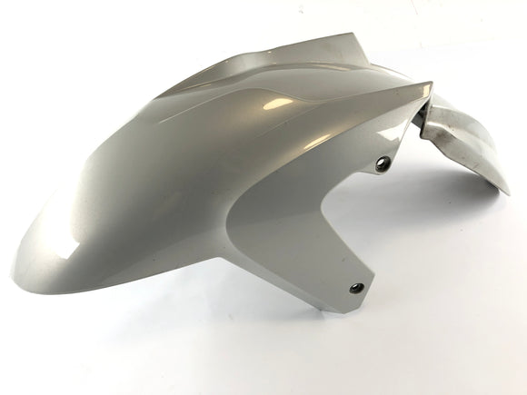 BMW K 1300 S K12S [2009]  - 前指挡泥板在前面