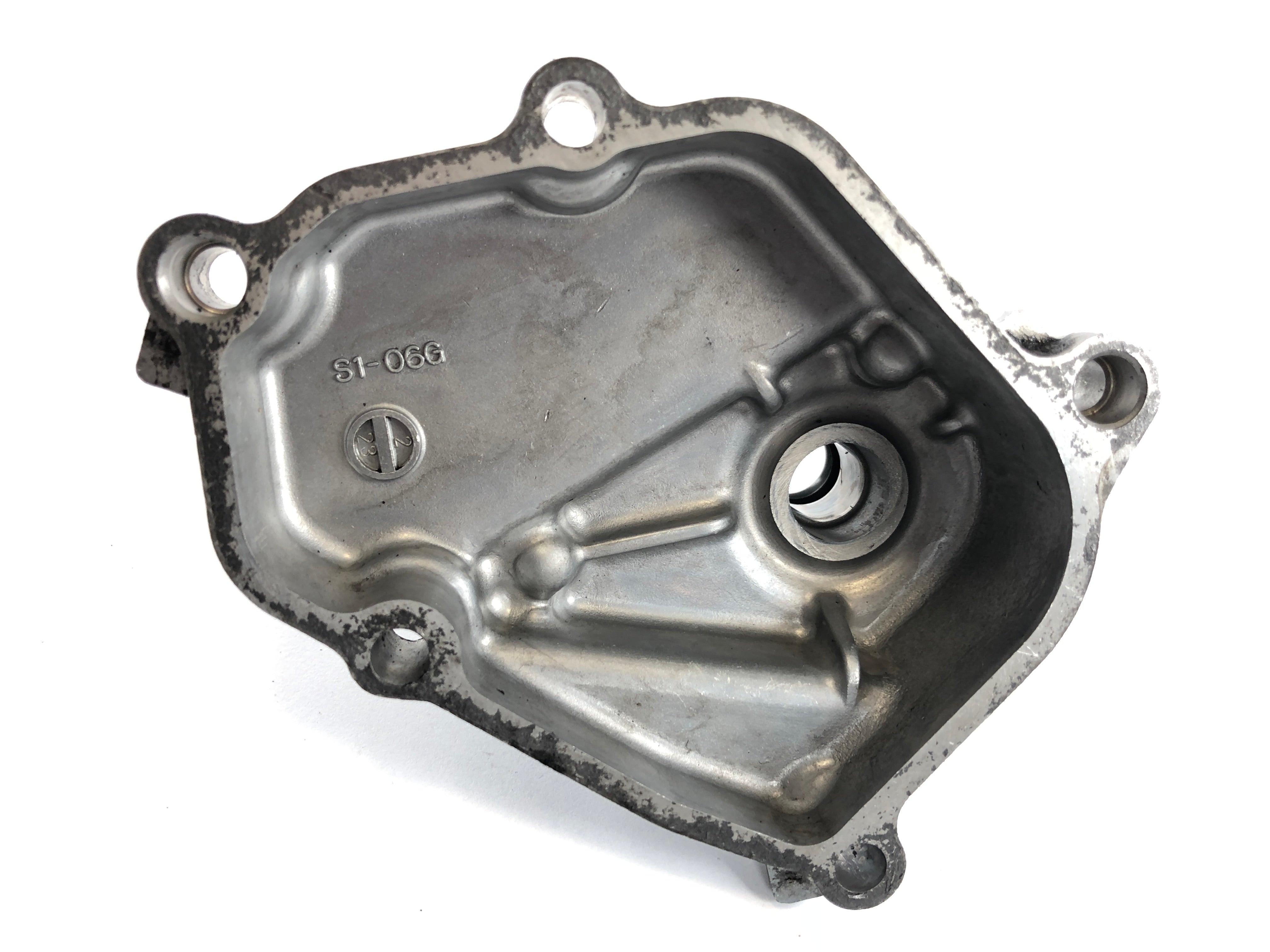 Suzuki DL 1000 V-Strom [2006] - Engine cover shift shaft cover